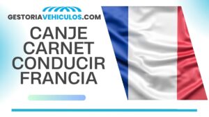 CANJE CARNET DE CONDUCIR FRANCIA