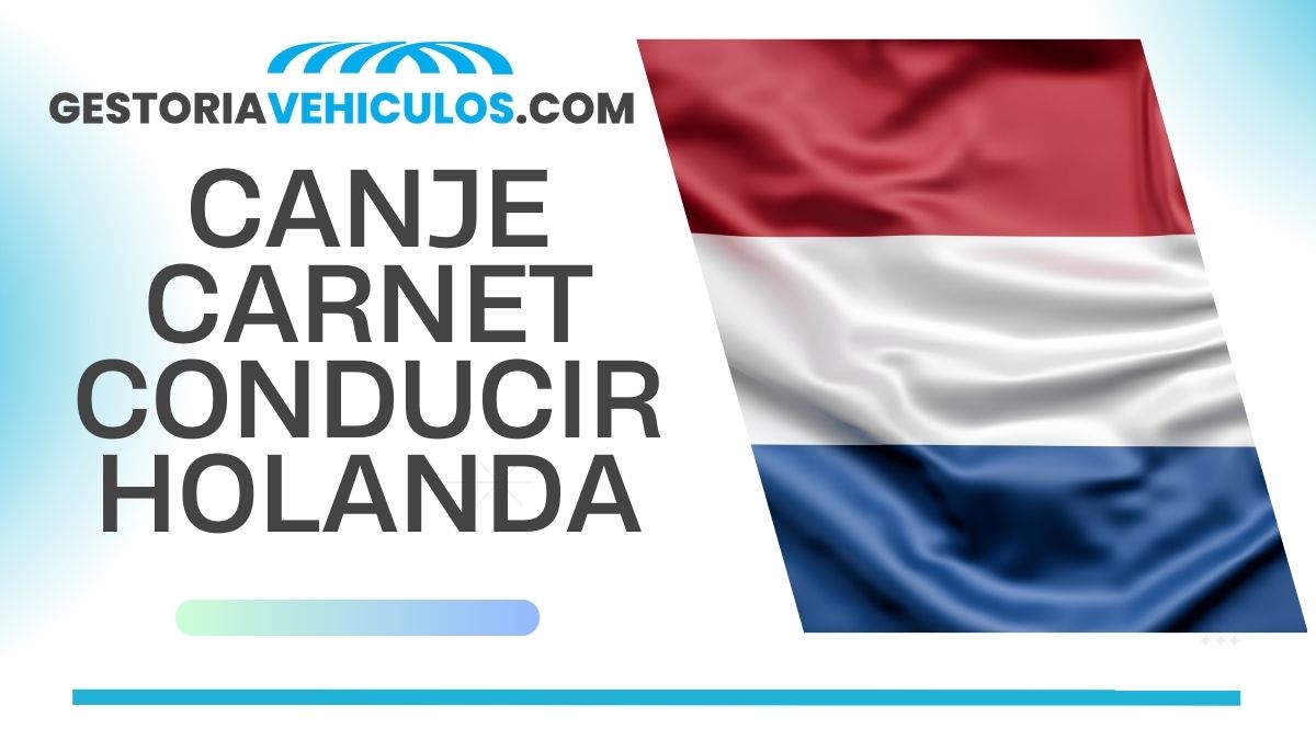 CANJE CARNET DE CONDUCIR HOLANDA